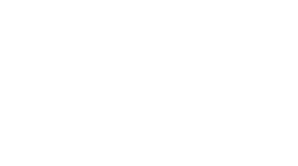logo Sul Cargo